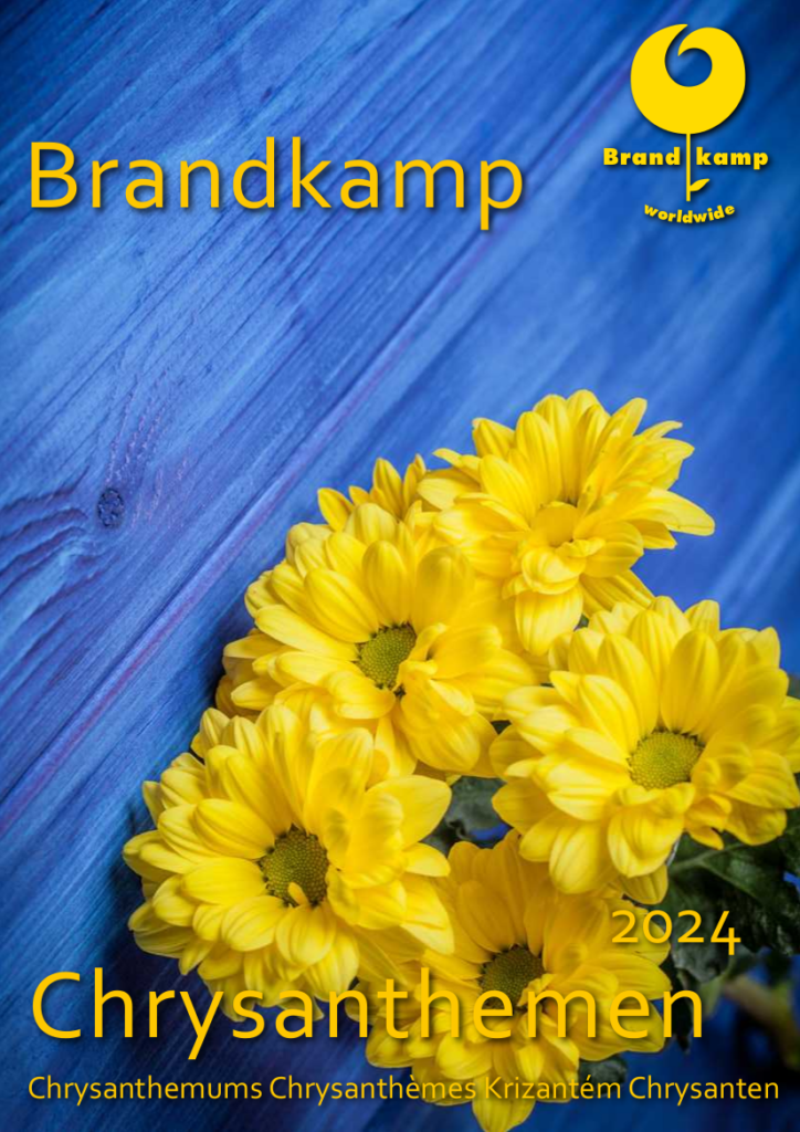 Brandkamp